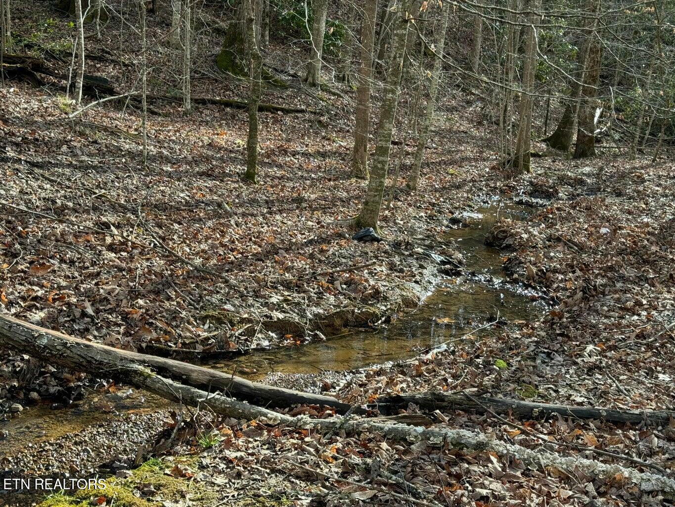 Property Photo: 714 Pinnacle Vista Rd Lot 28 TN 37738