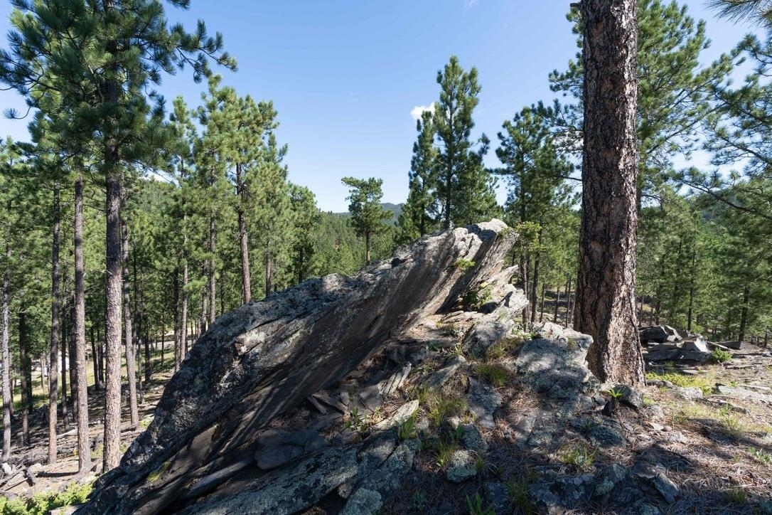 Property Photo:  12491 S Tall Pine Road  SD 57745 