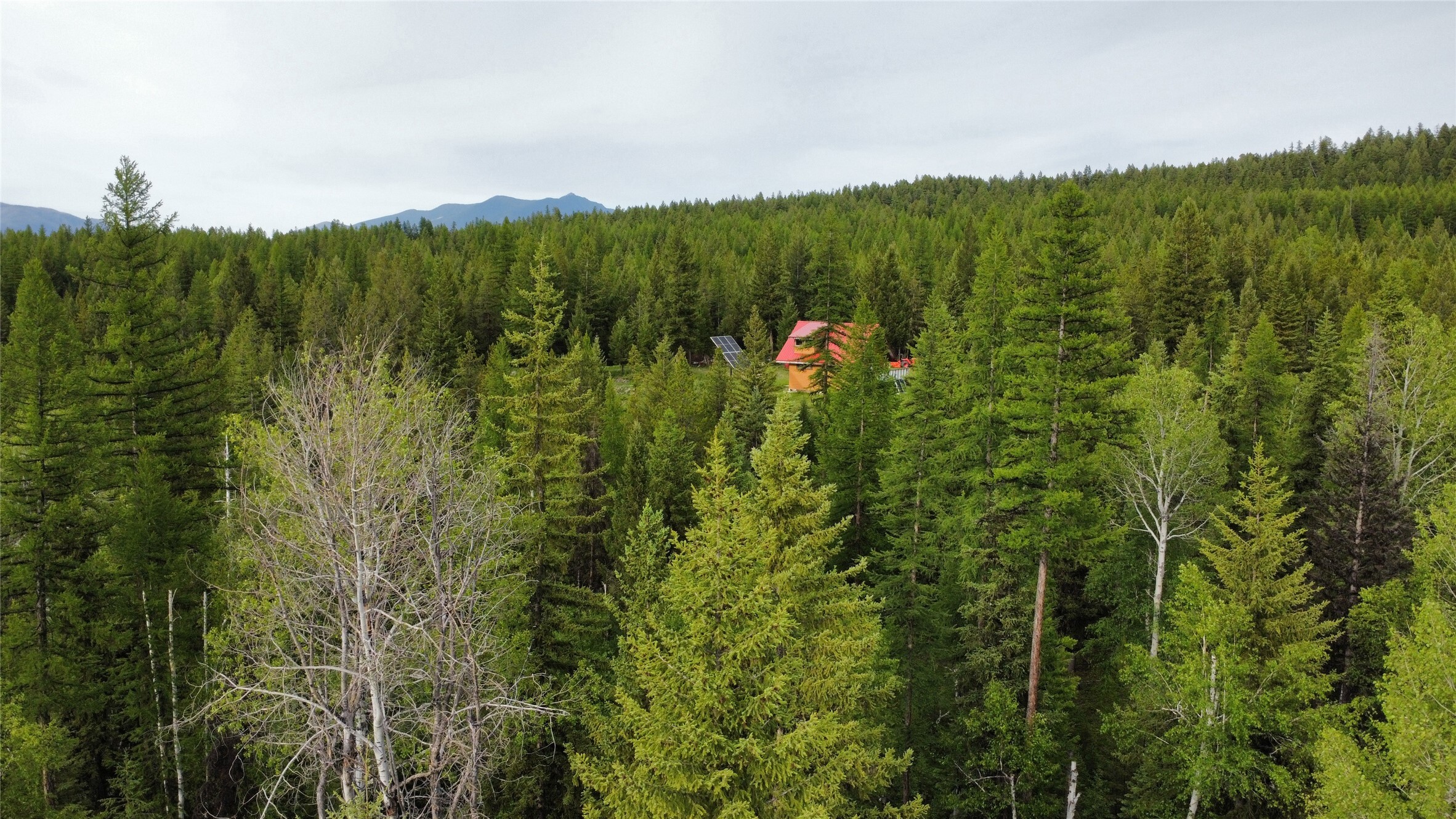 Property Photo: 347 & 673 Soaring Eagle Trail MT 59918