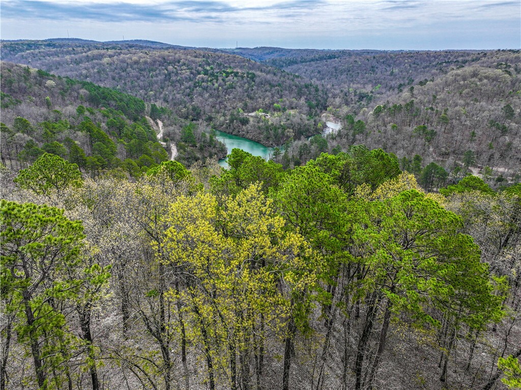 Property Photo:  398 County Road 1486  AR 72632 