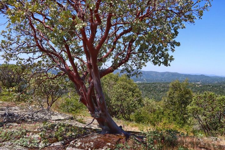 Property Photo: 0 Old Yosemite Road CA 93644