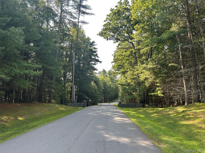Property Photo: Lot 46 Summit Drive NY 12719