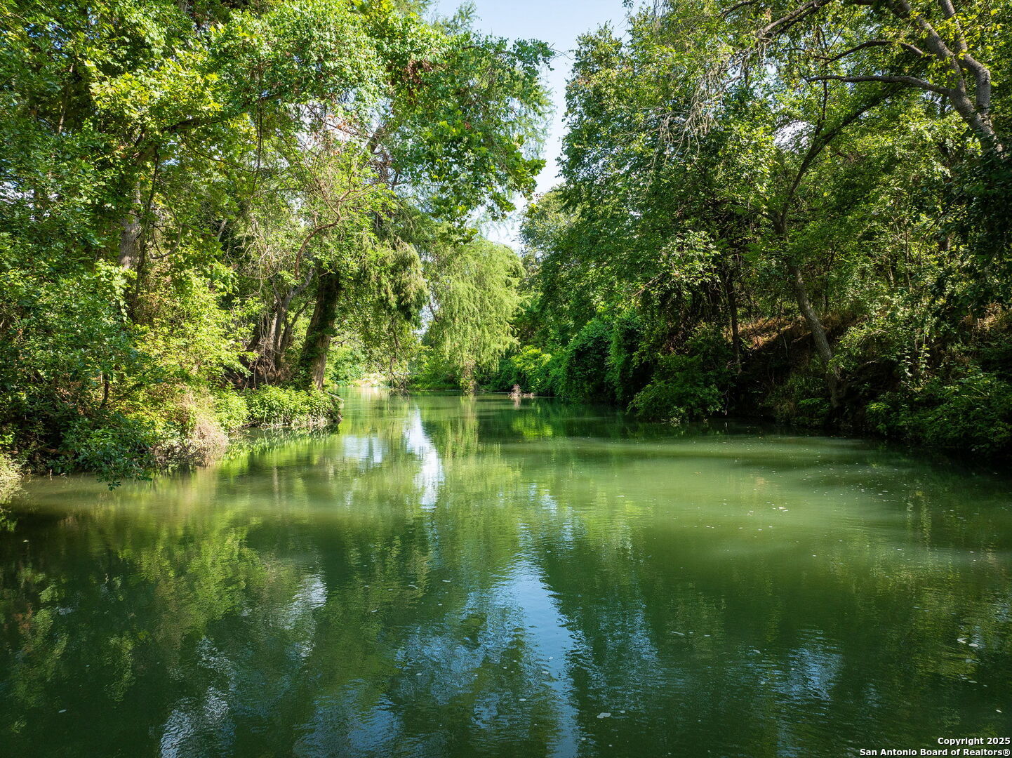 Property Photo:  Tbd Fm 621  TX 78655 