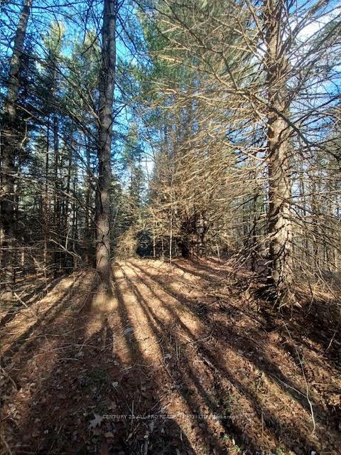 177 Dick Martin Road  North Kawartha ON K0L 1A0 photo