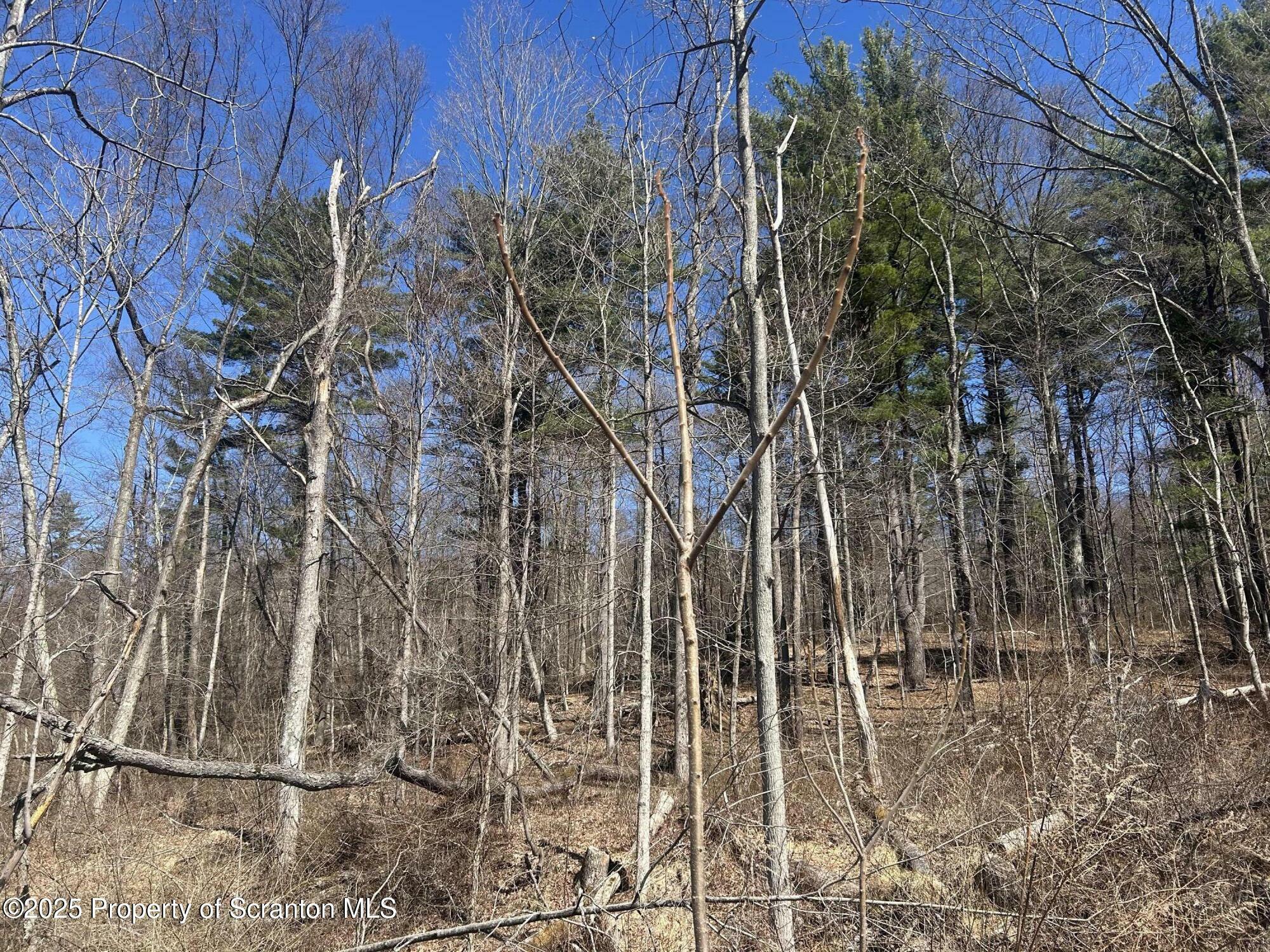 Property Photo: Lot 7 Lower Narrow Rd PA 18411