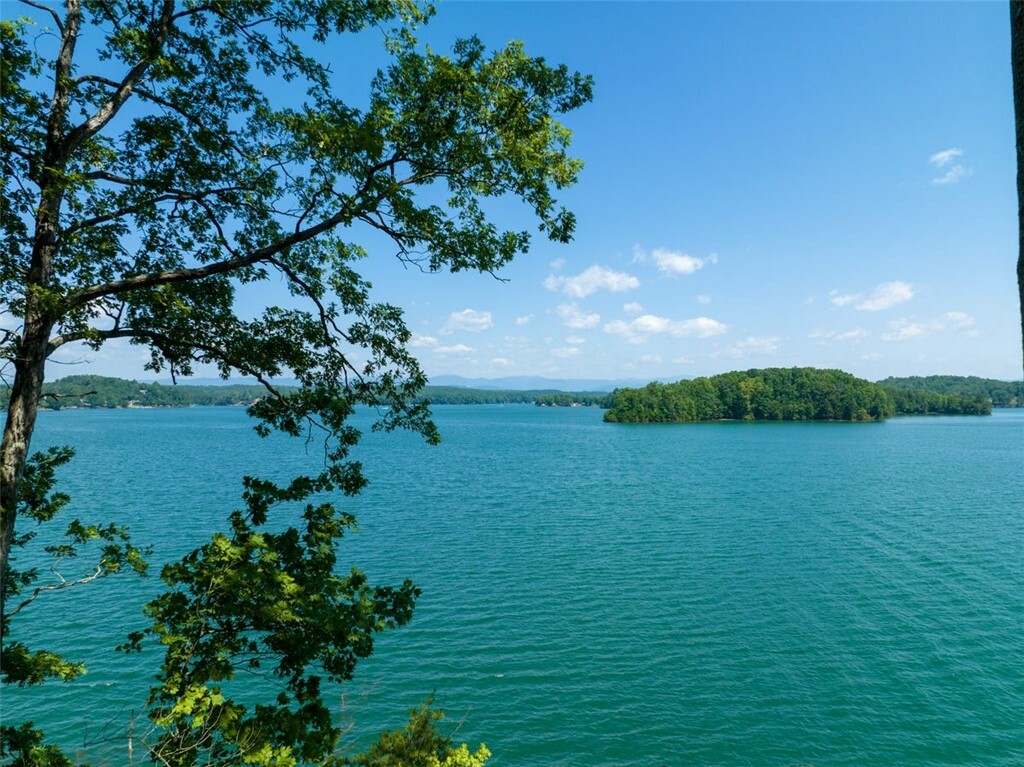 Property Photo: 233 Sandy Hollow Court SC 29682
