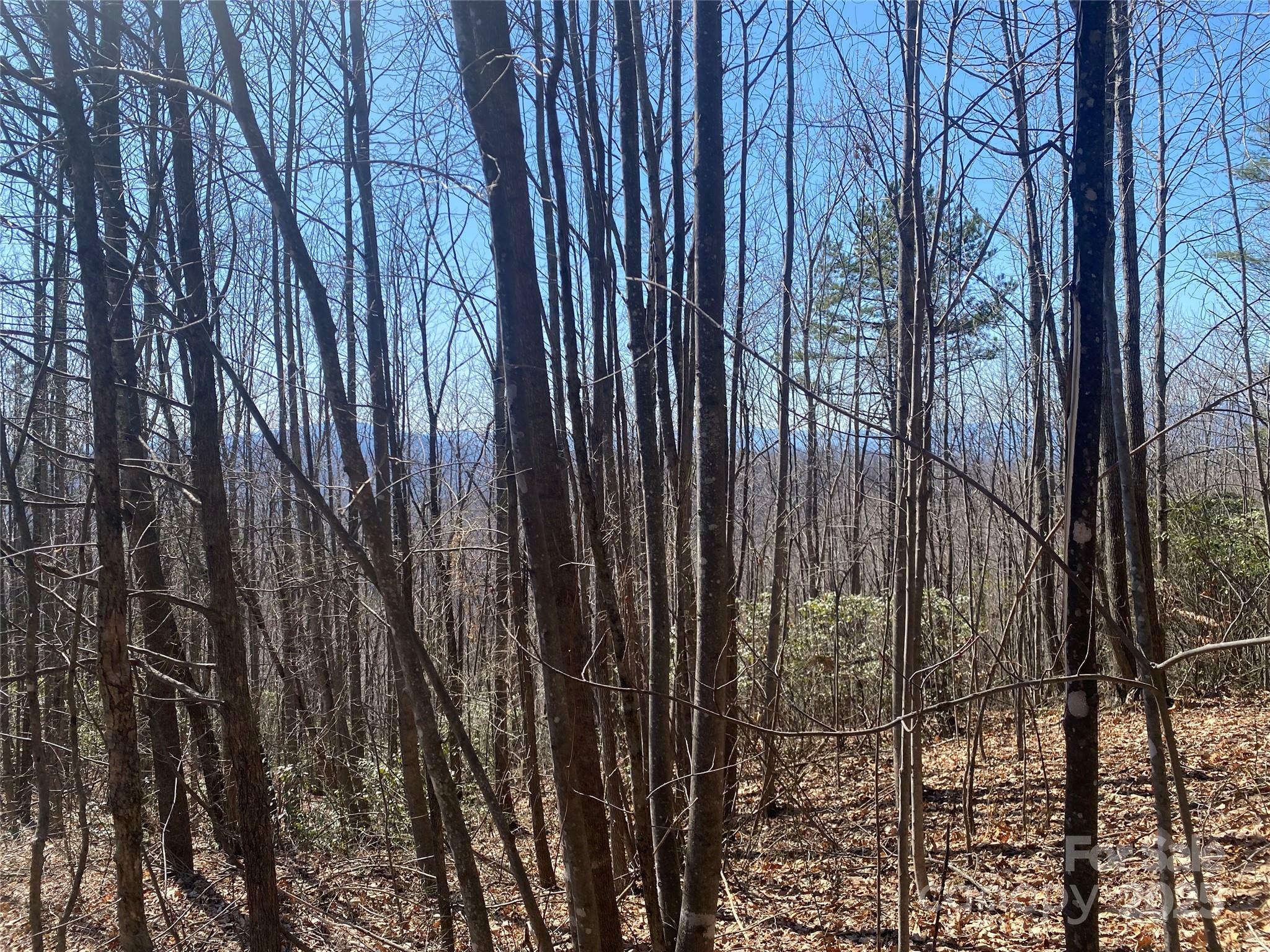 Property Photo: Lot 72 Mountain Crest Drive S NC 28752
