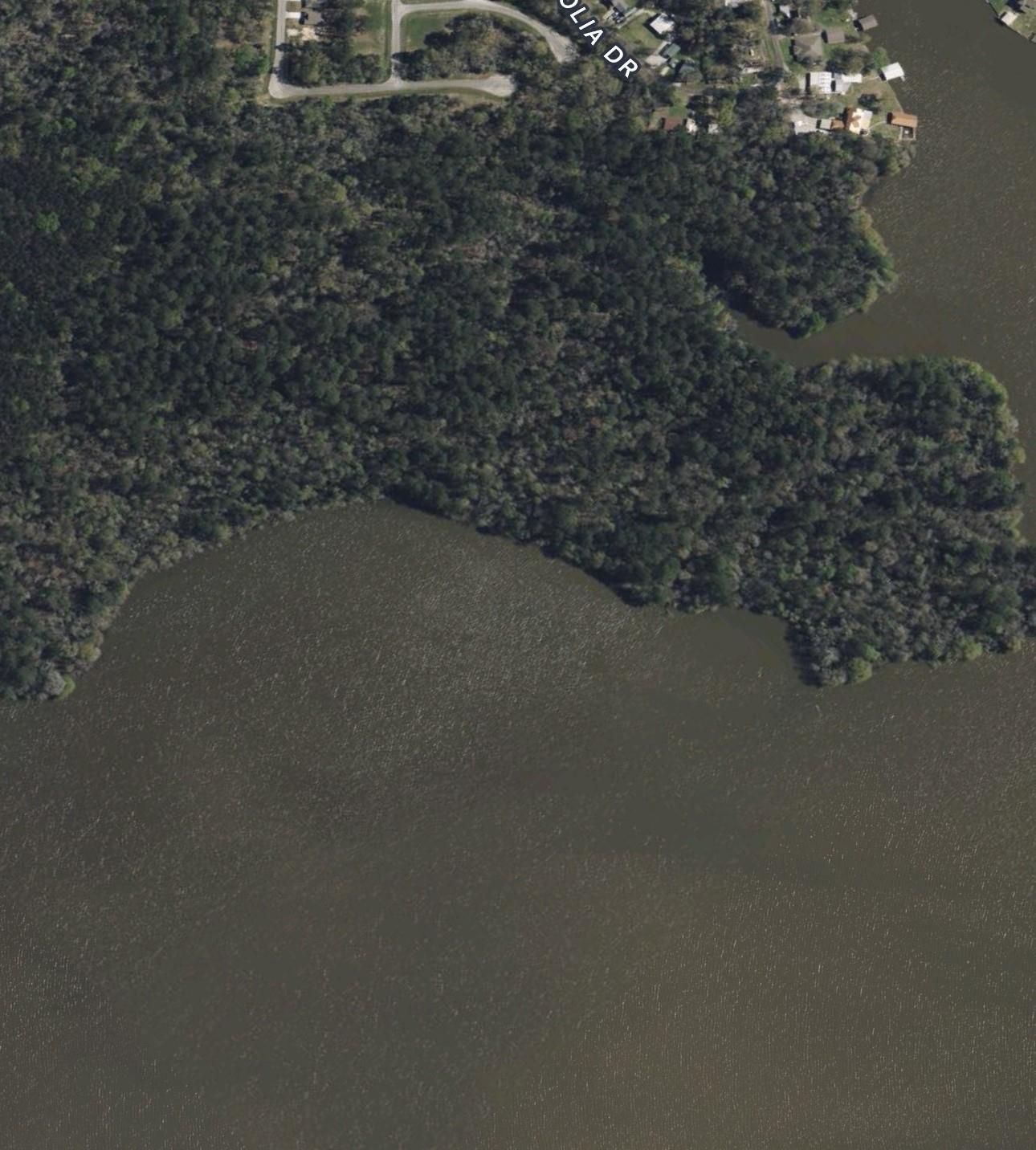 Property Photo: 56 Firewood Road TX 77340
