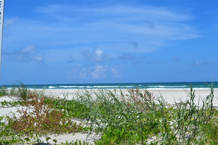 Property Photo:  87 Buschman Drive  FL 32127 