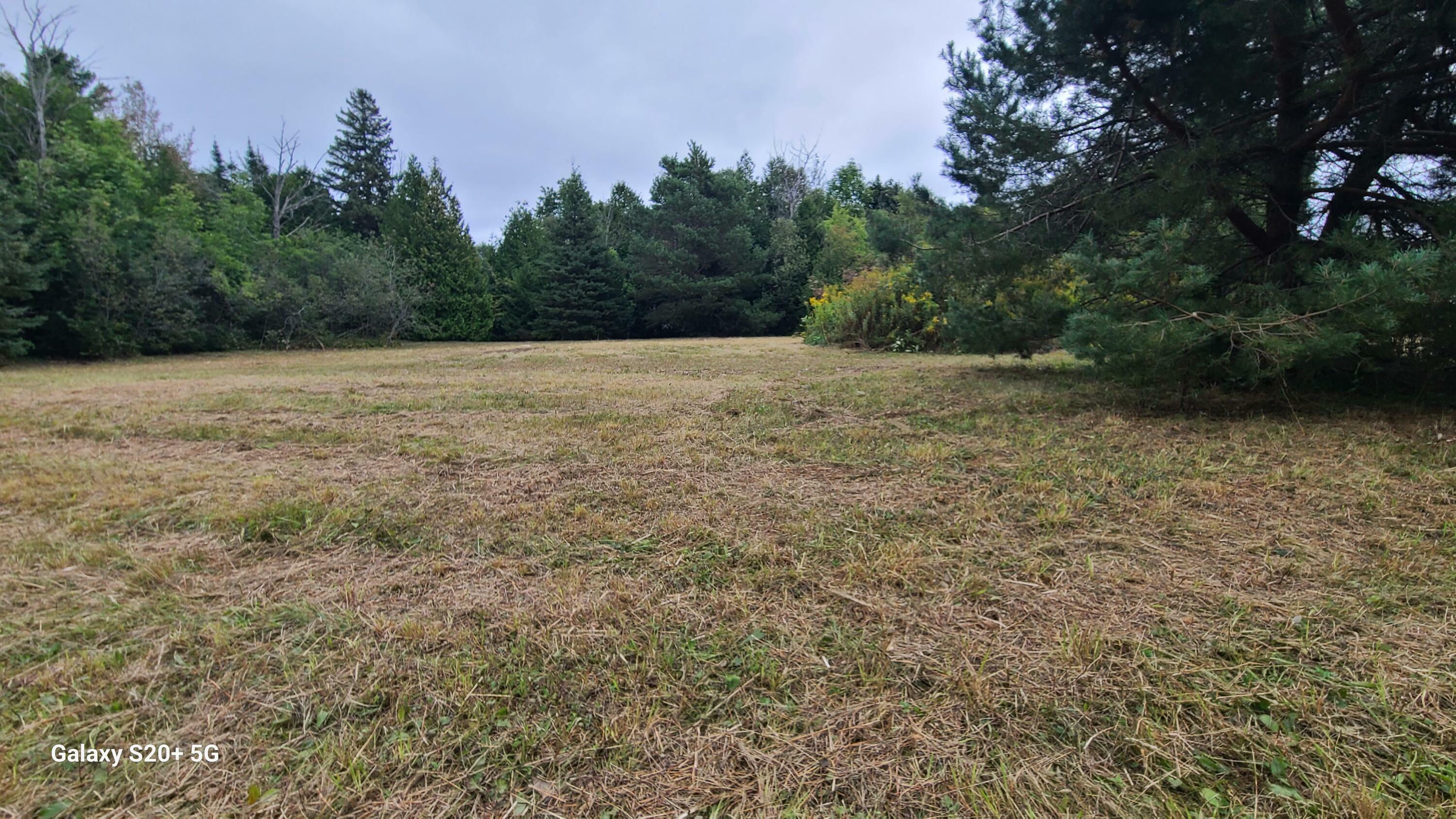 Property Photo: Tbd W Portage St MI 49781