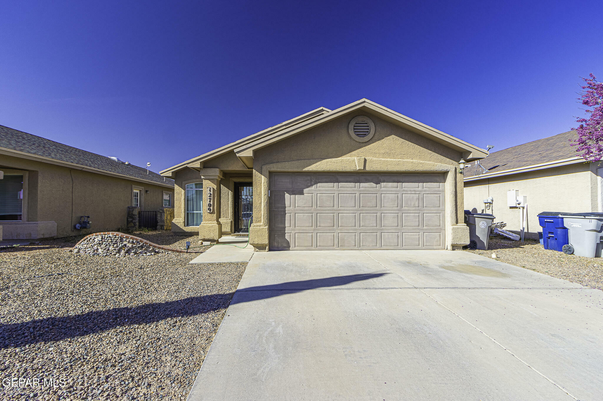 12709 Lorenzo Frias Drive  El Paso TX 79938 photo