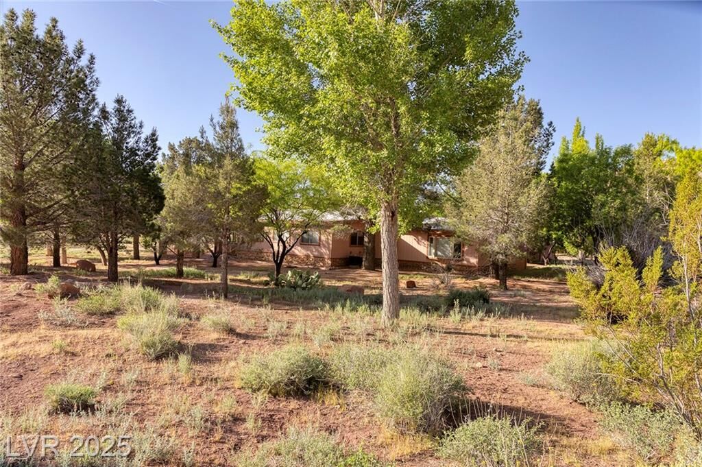 Property Photo: 14525 Heyer Way NV 89161