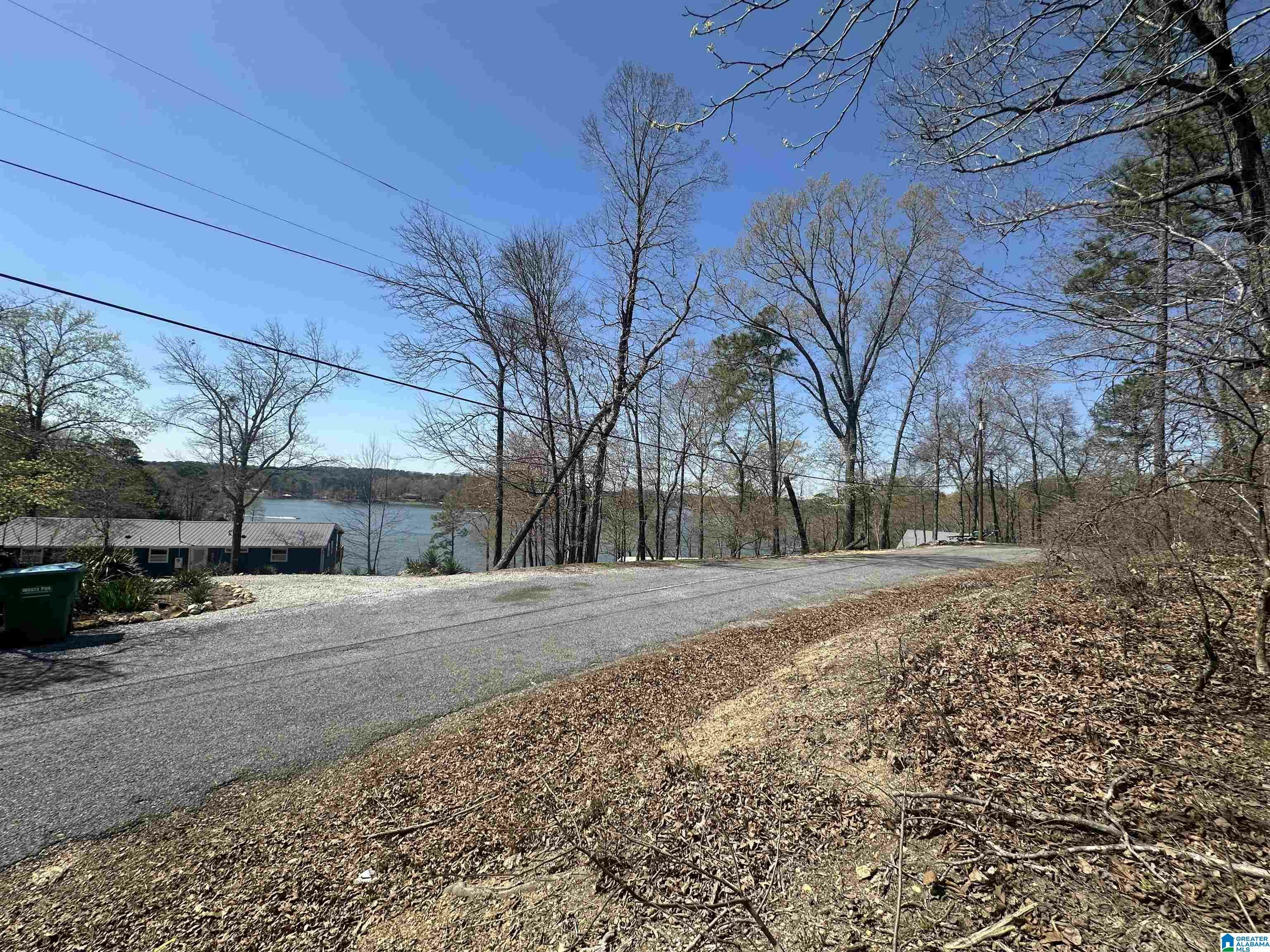 Property Photo:  0 Riverbend Circle 24  AL 35160 