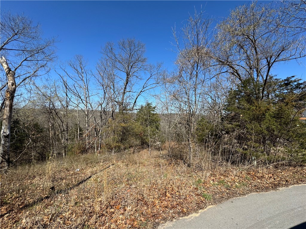 Sable Lane  Bella Vista AR 72715 photo