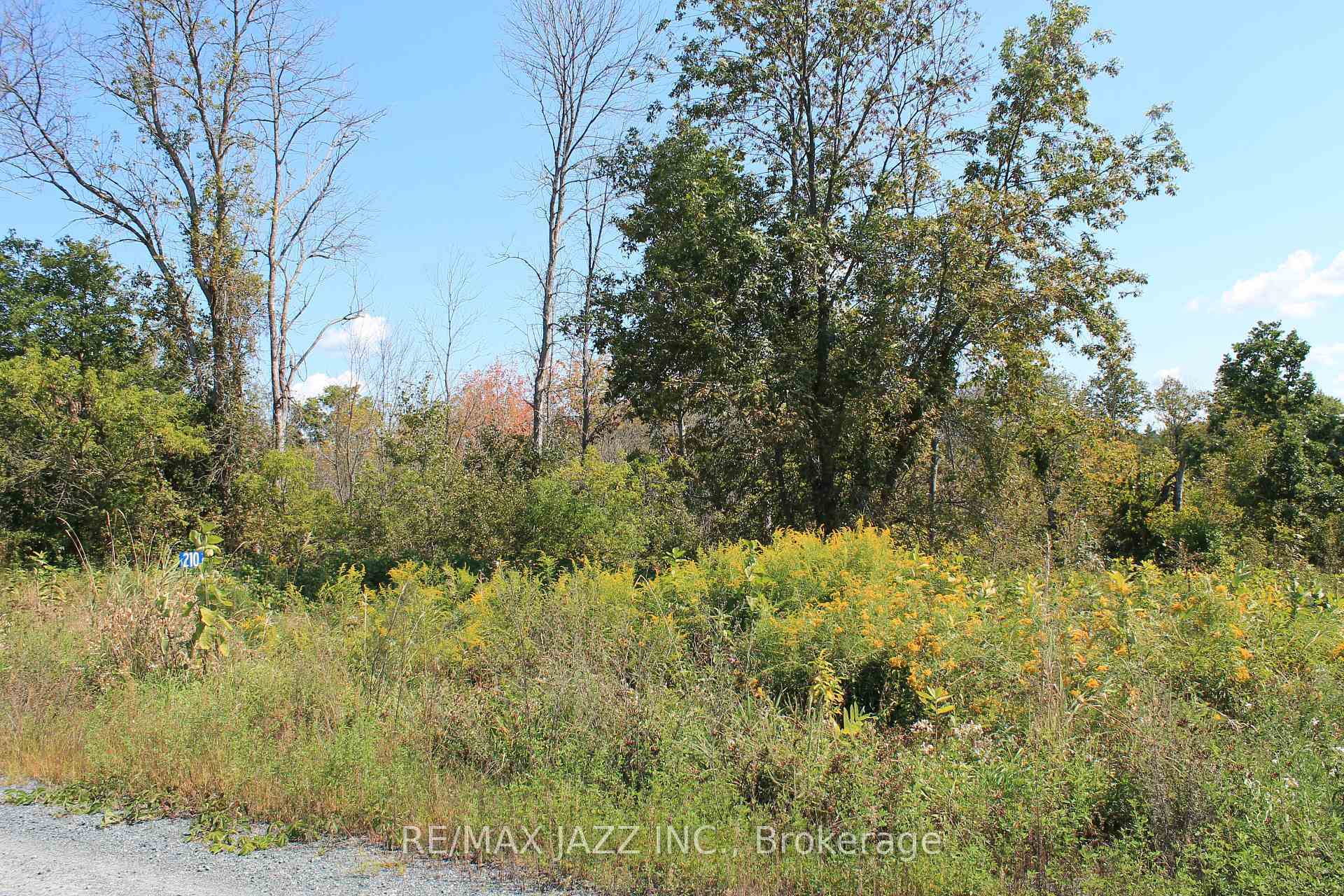 Property Photo:  210 Skootamatta Lane  ON K0K 3J0 