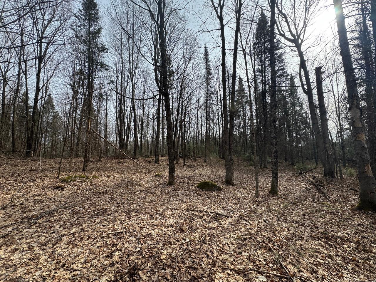 Property Photo: Parcel B Private Rd WI 54547