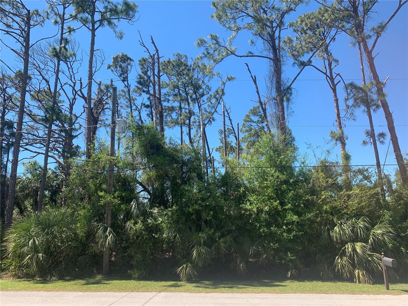 Property Photo: Pincushion FL 34286