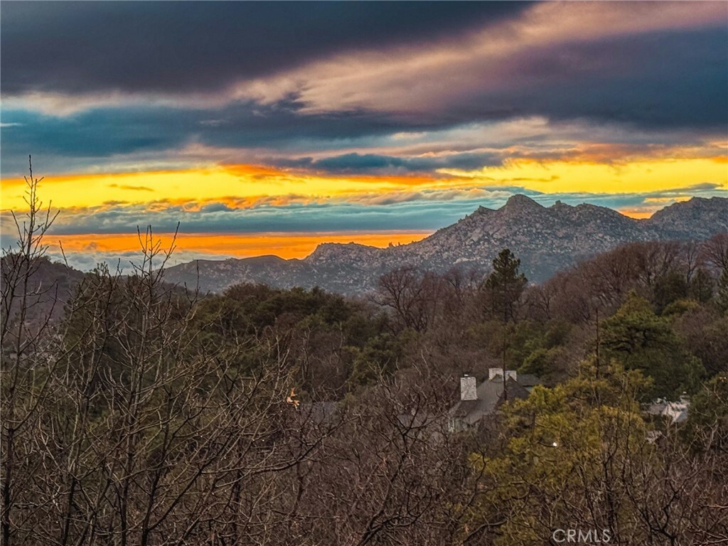 1458 Sequoia Drive  Lake Arrowhead CA 92352 photo