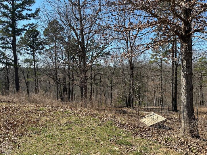 Property Photo:  231 Jones Road  AR 72687 