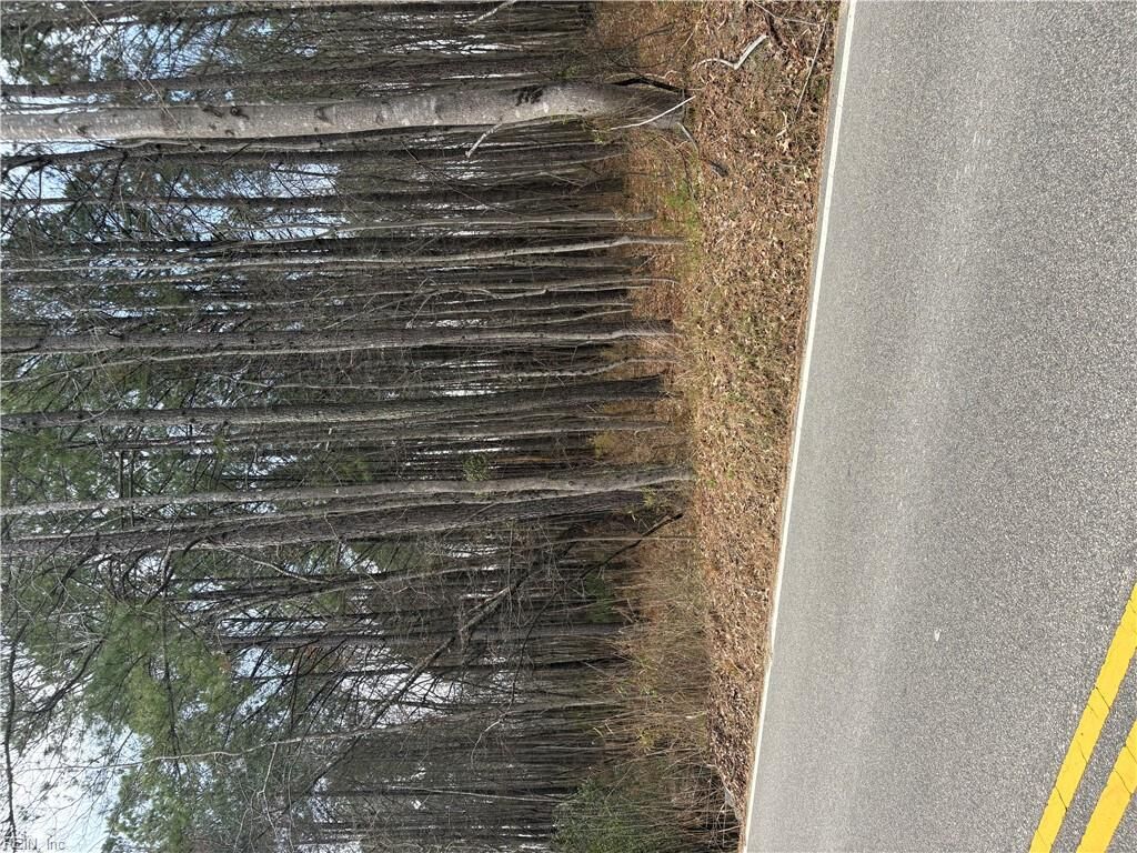 Property Photo:  10 Ac Millville Rd  VA 23320 