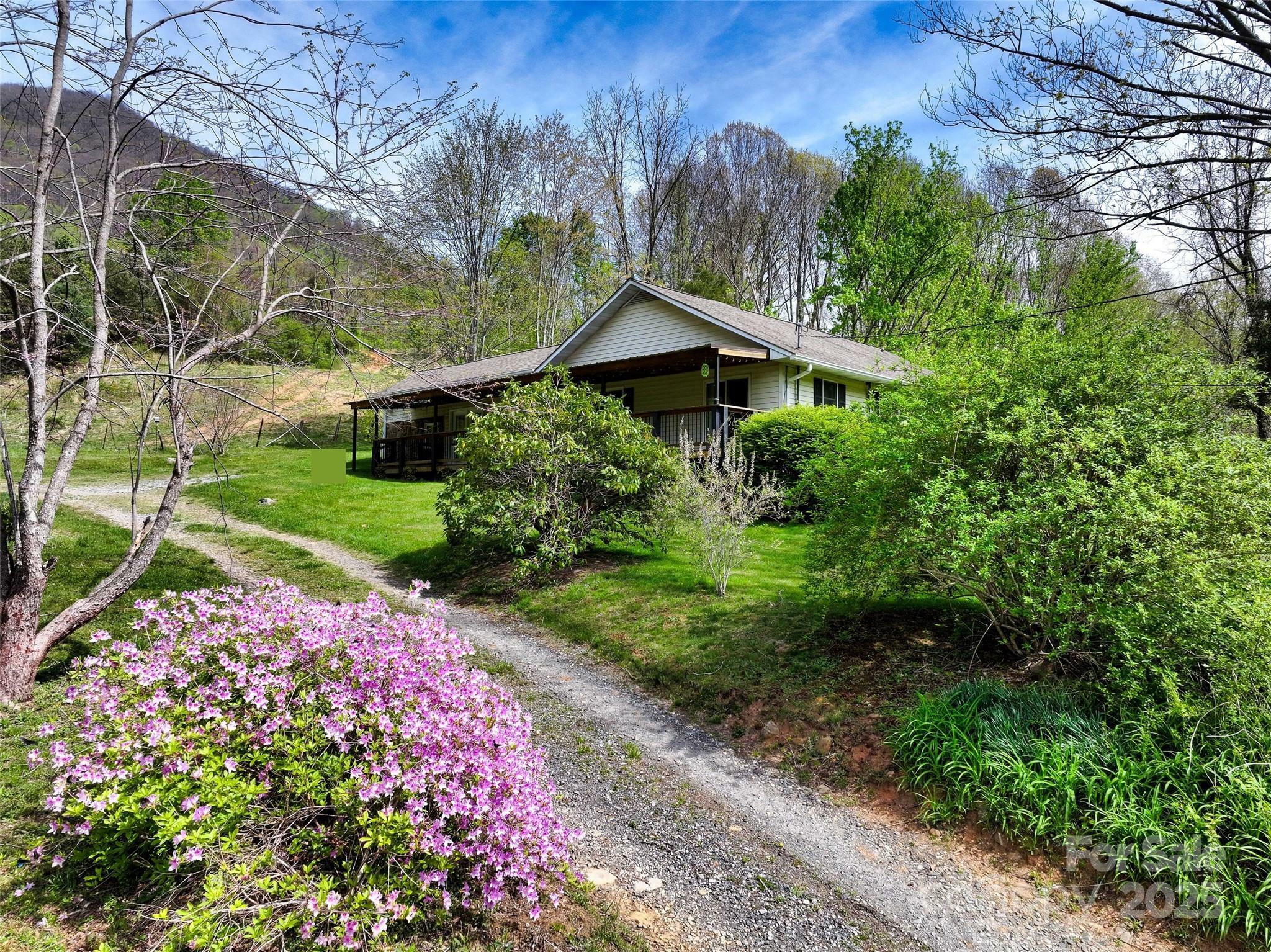 1567 Newfound Road  Leicester NC 28748 photo