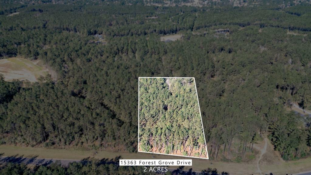 Property Photo:  15363 Forest Grove Drive  TX 77378 