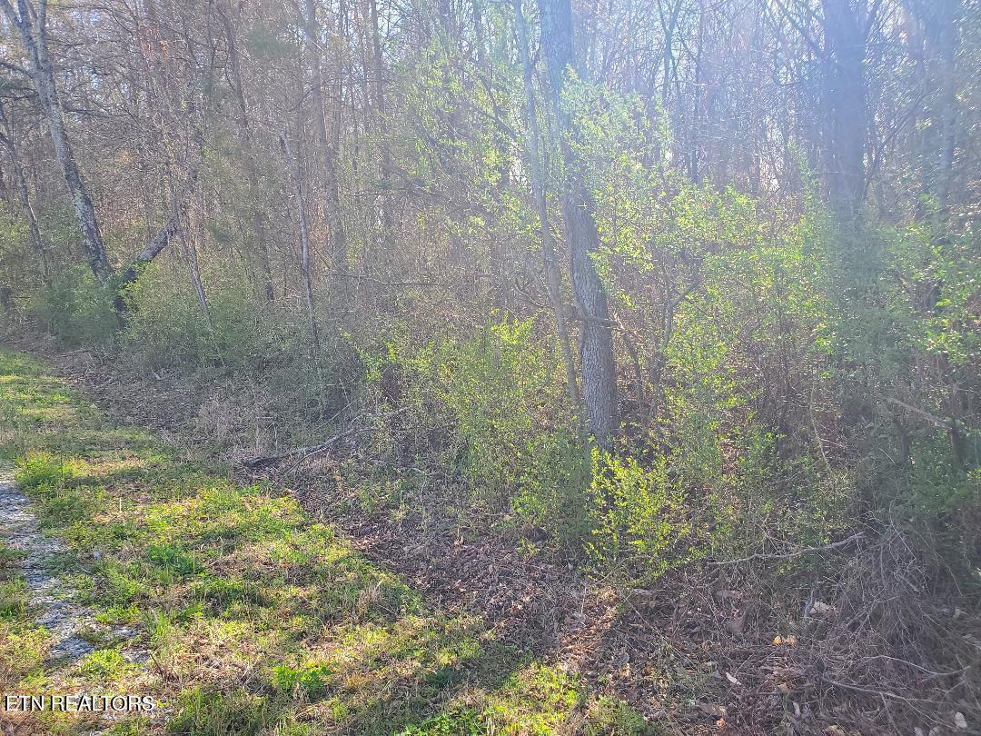 Lot 2 Highway 304  Decatur TN 37322 photo
