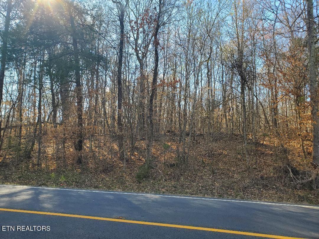 Lot 16 Highway 304  Decatur TN 37322 photo
