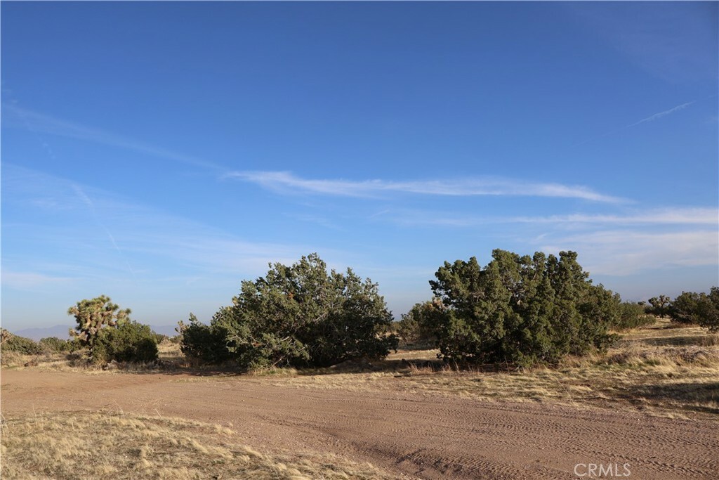 Property Photo: 9955 Macron Street CA 92344