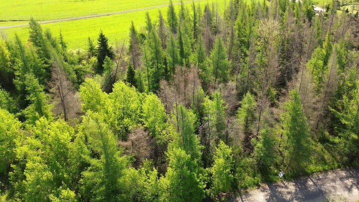 Property Photo:  Lot 55 Appalosa Trail  NS B0K 1V0 