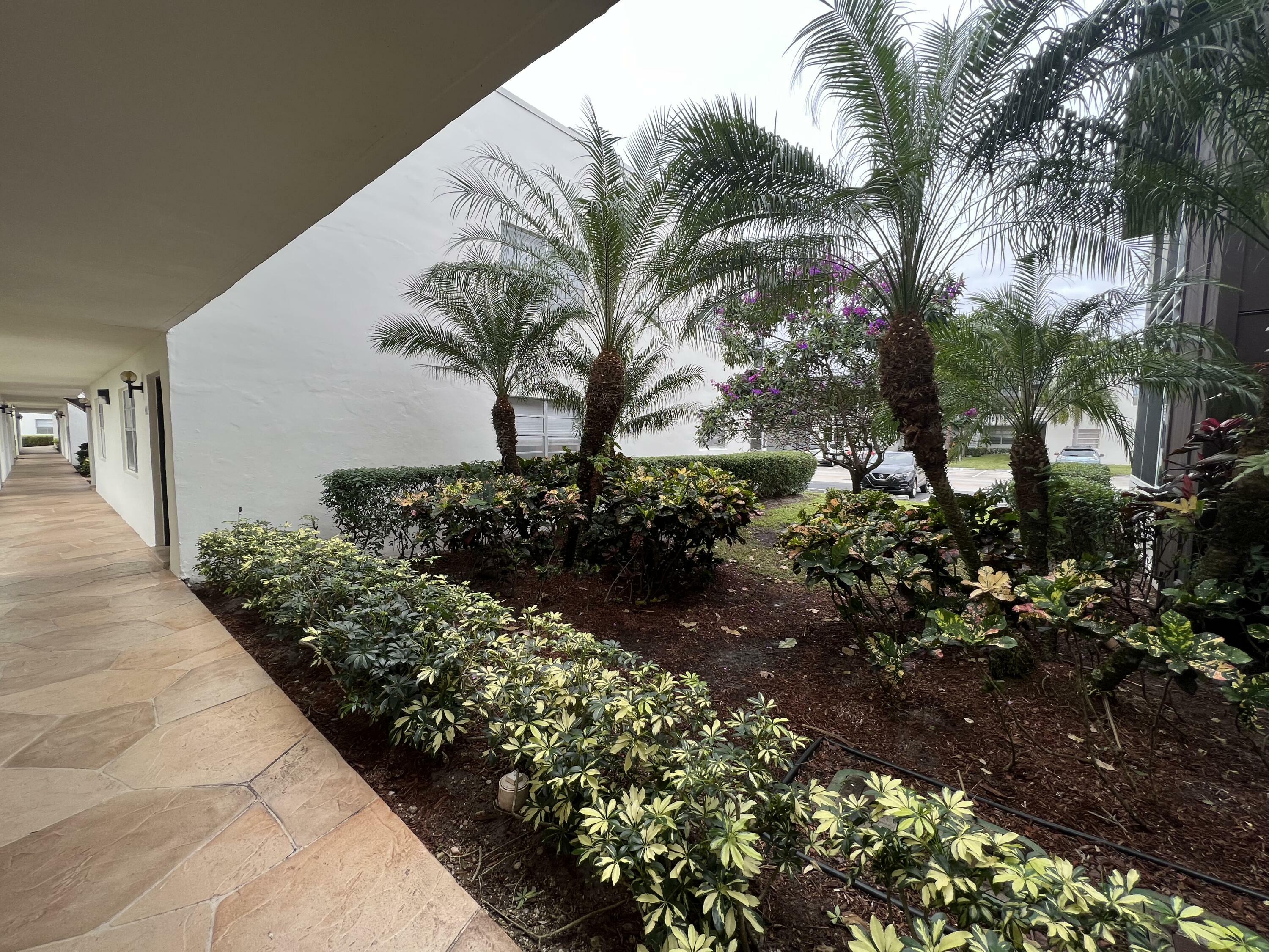 Property Photo: 679 Normandy O FL 33484