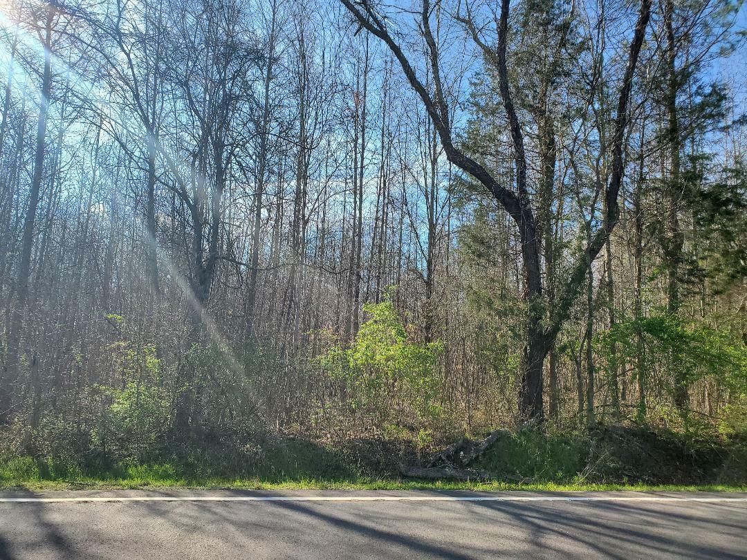 Property Photo: Lot 7 Highway 304 TN 37322