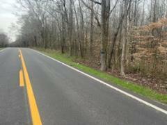 Property Photo: Lot 1 Highway 304 TN 37322