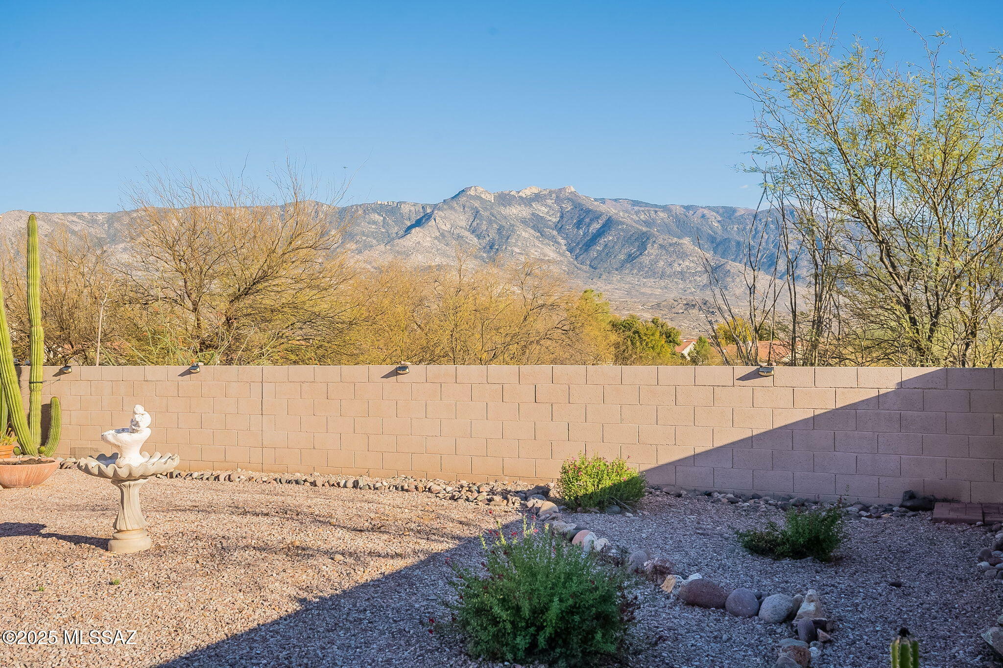 38324 S Silverwood Drive  Tucson AZ 85739 photo