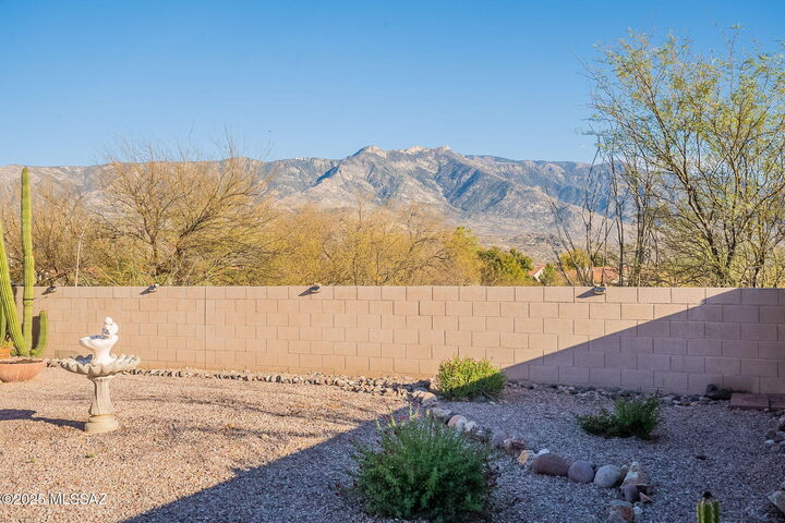 38324 S Silverwood Drive  Tucson AZ 85739 photo