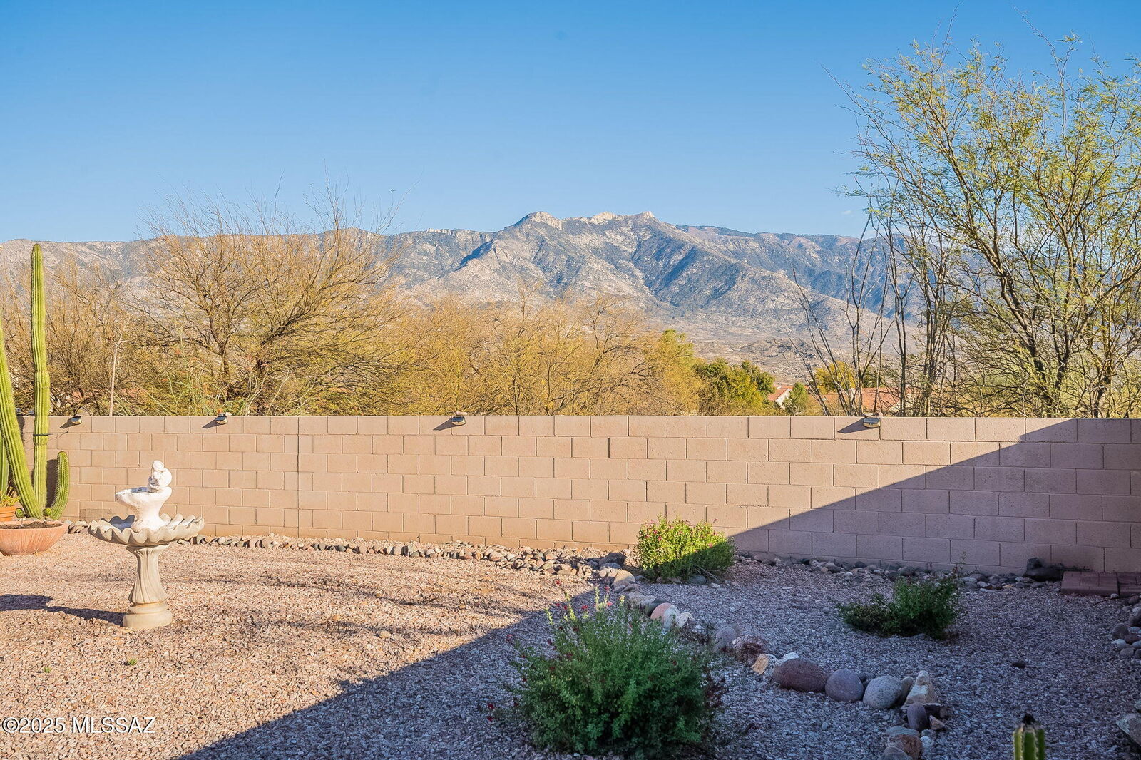 Property Photo: 38324 S Silverwood Drive AZ 85739