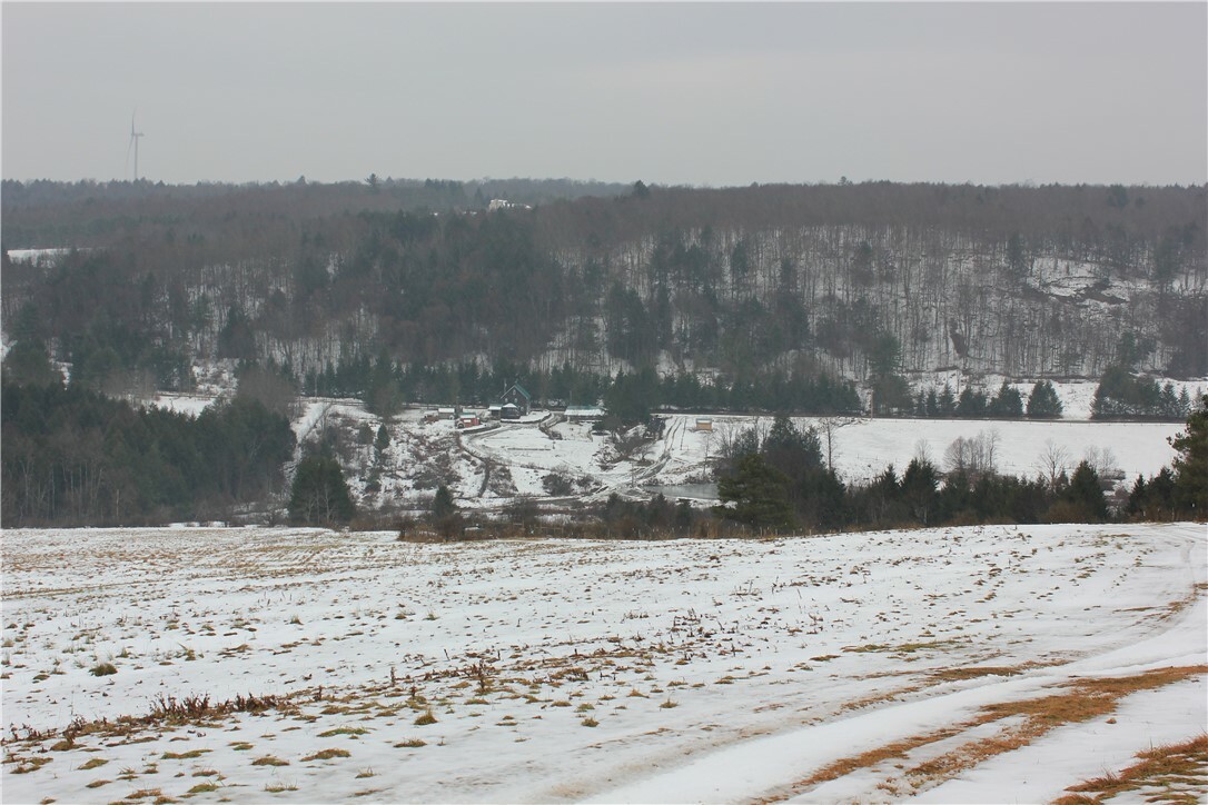 Property Photo:  500 Farnham Road  NY 13865 