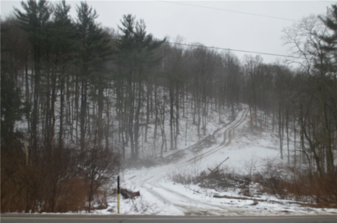 Property Photo: Rt-53 NY 14873