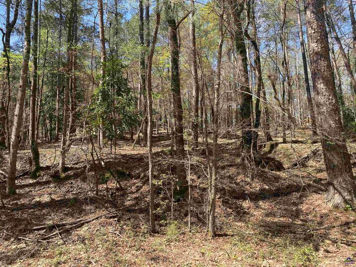 Property Photo:  0 Sandra Drive  GA 31032 