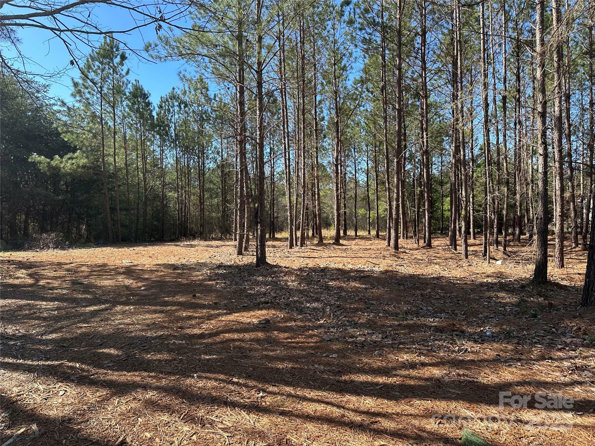 Property Photo: 4339 East Maiden Road NC 28650