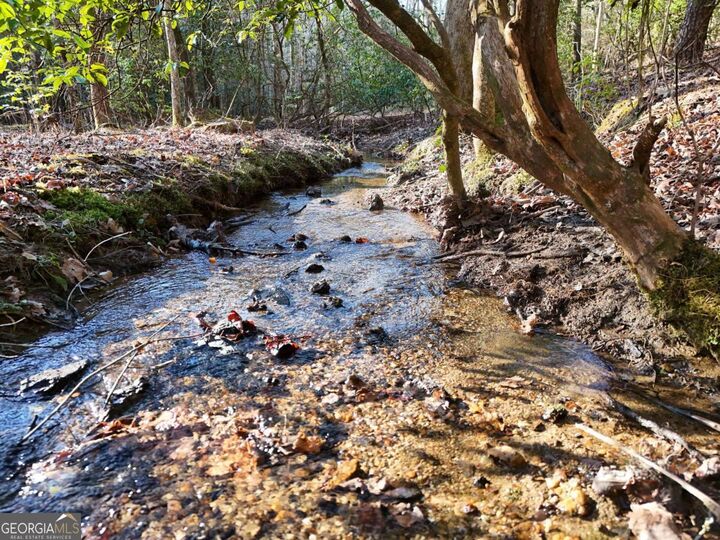 300 Kaleb Trail  Mineral Bluff GA 30559 photo