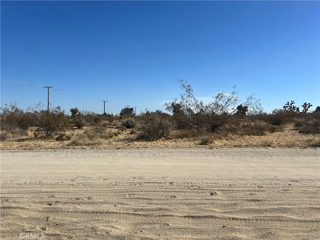 Property Photo: 0 Mountain CA 92372