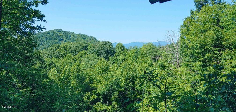 Property Photo: 174 Doty Road TN 37687
