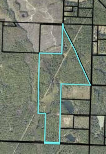 Property Photo: 120 Acres E Plympton Road FL 32567