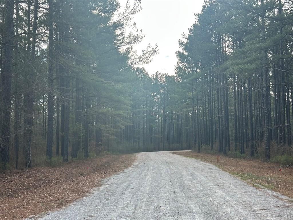 Property Photo:  181 Riversong Road  GA 30117 