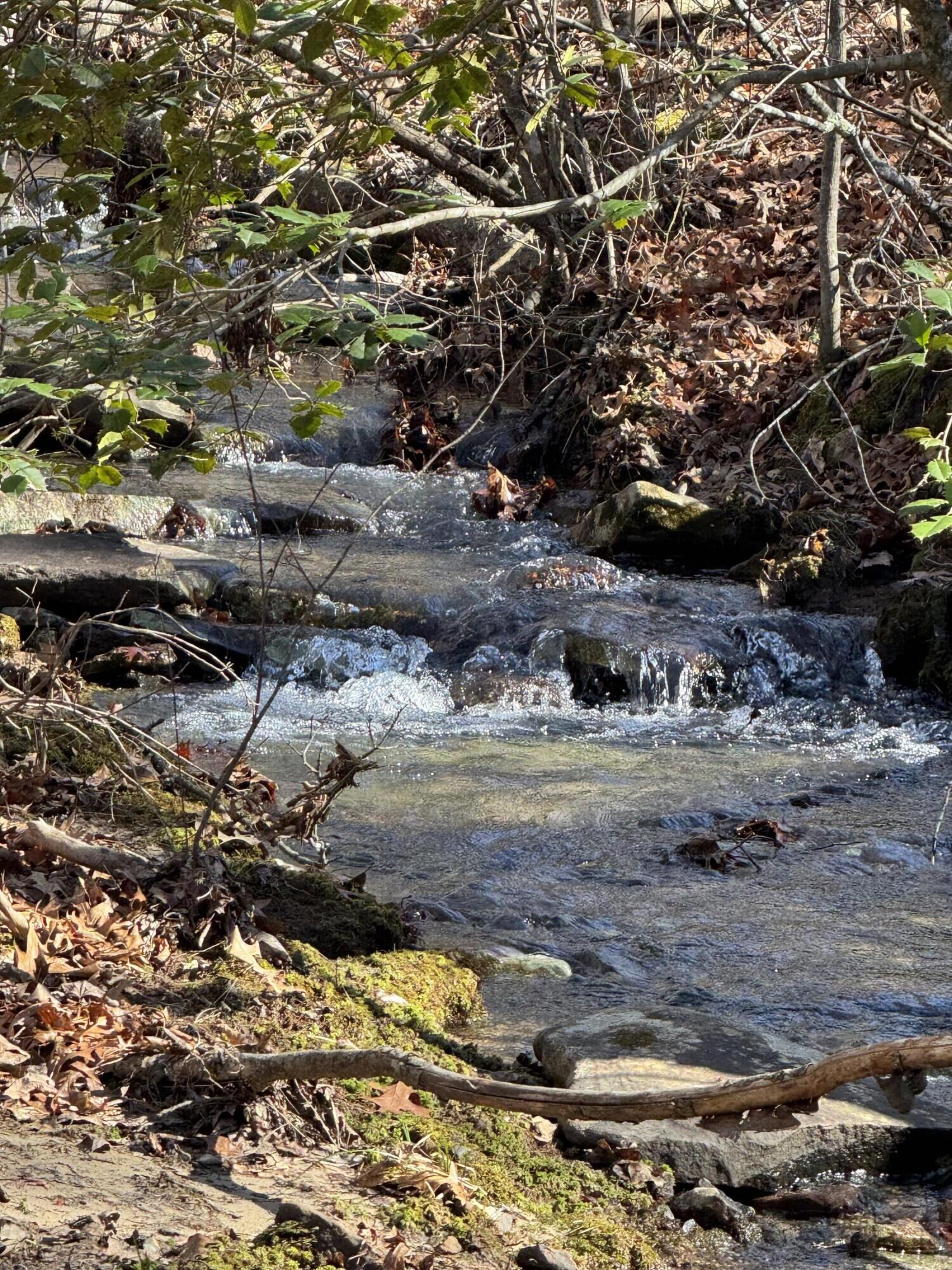 Property Photo:  626 Woodland Ridge Road  TN 37327 