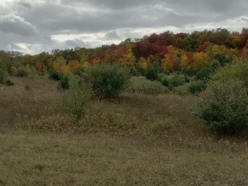 Property Photo: 287 W Baseline Road MI 49455