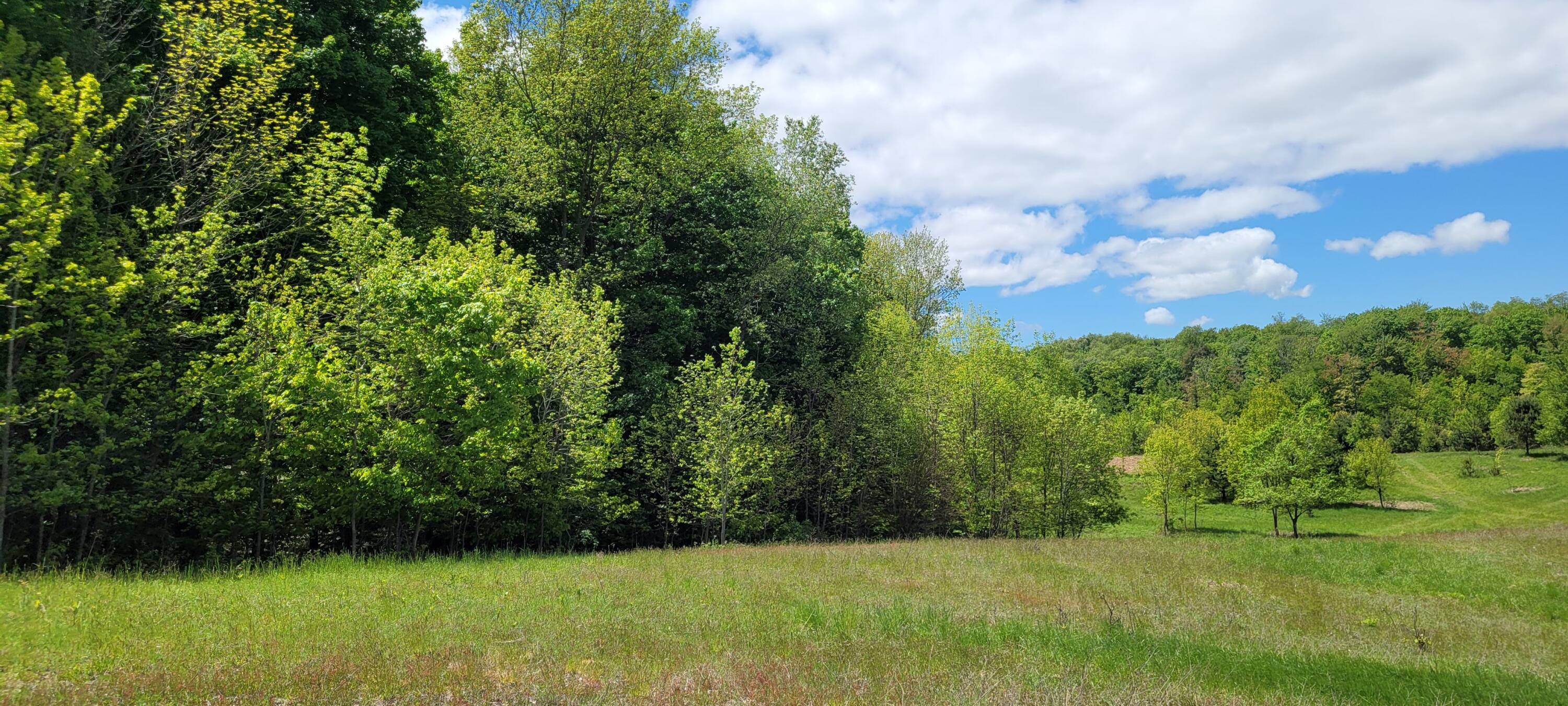 287 W Baseline Road  Shelby MI 49455 photo