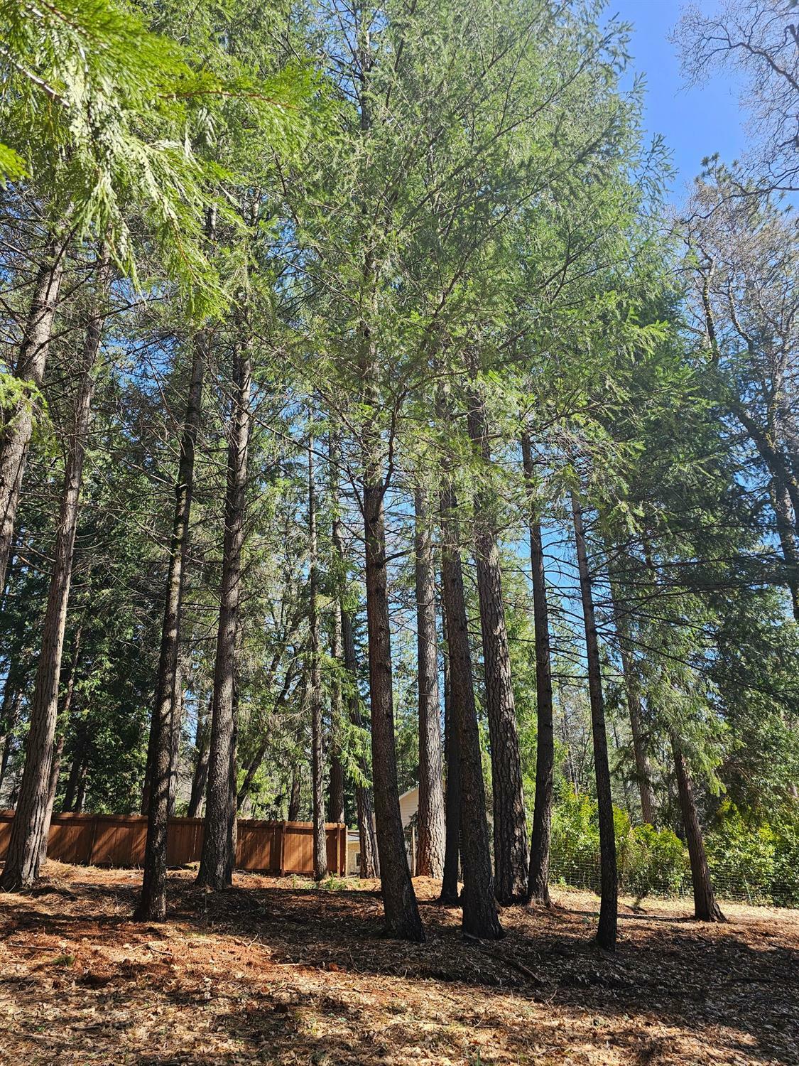 Property Photo: 19344 Louis Road CA 95945