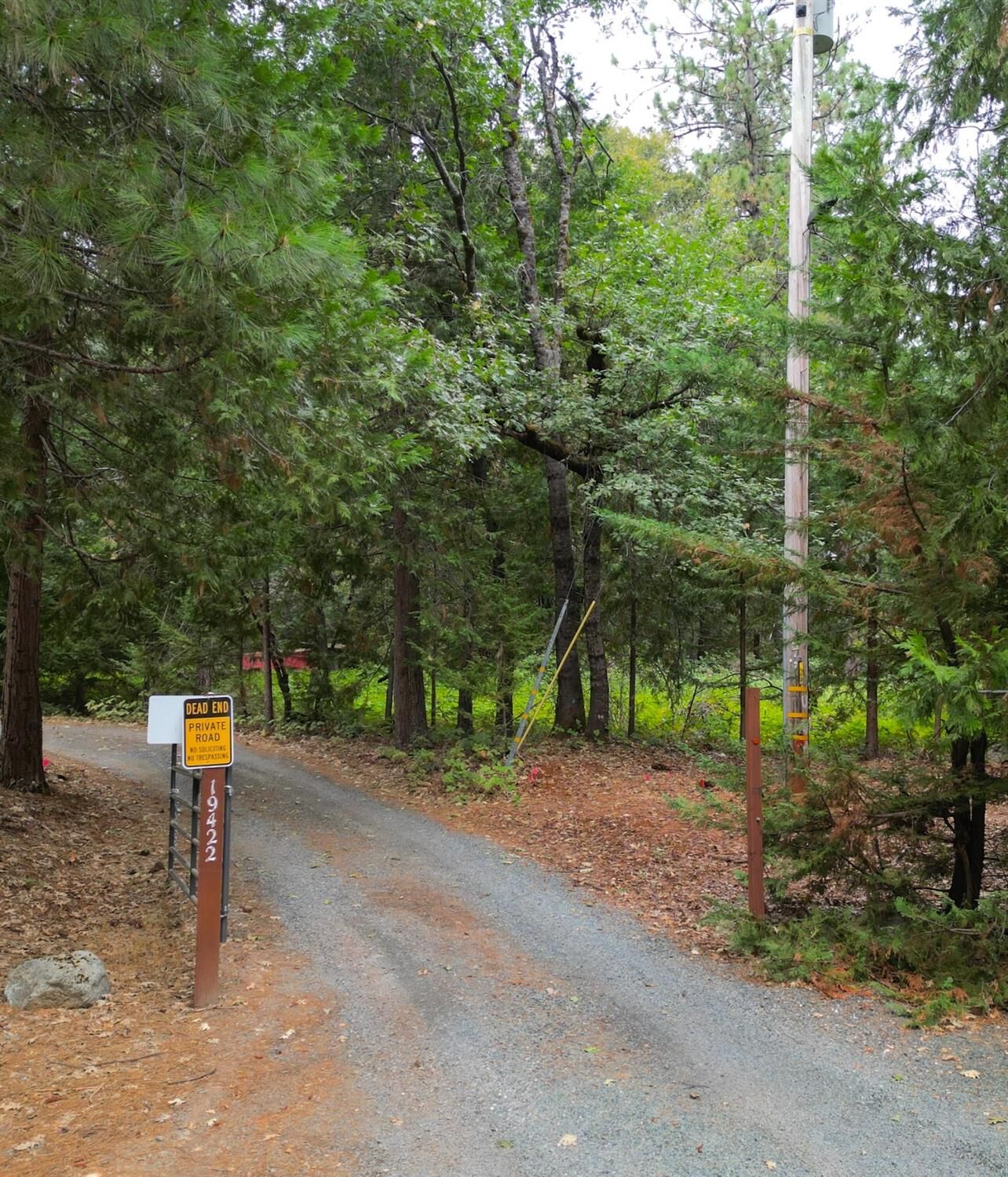 Property Photo: 19344 Louis Road CA 95945